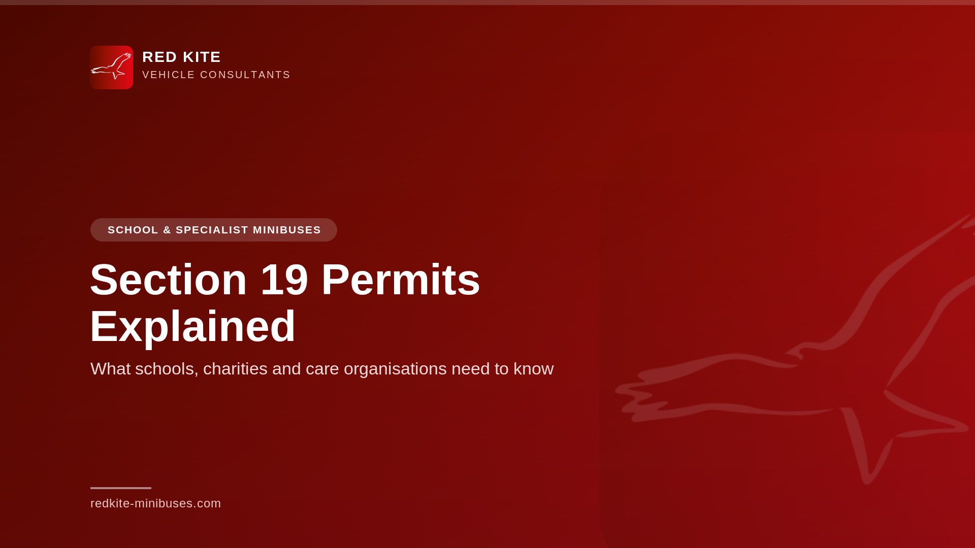 Section 19 permits explained cover graphic
