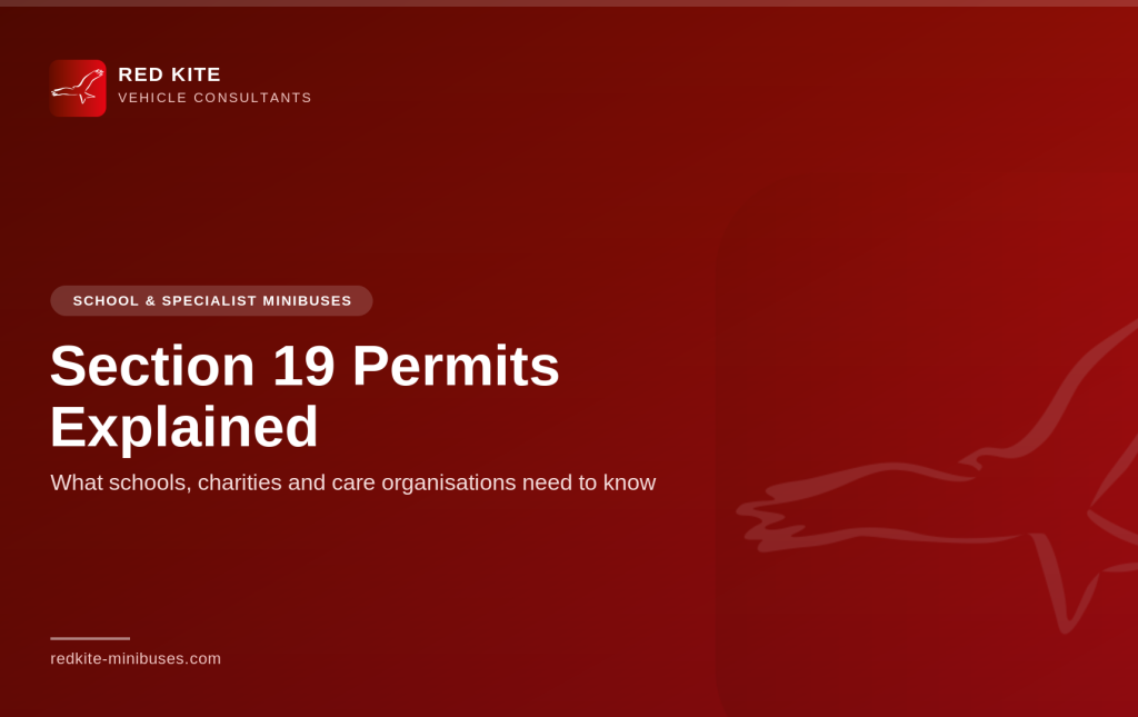 Section 19 permits explained cover graphic